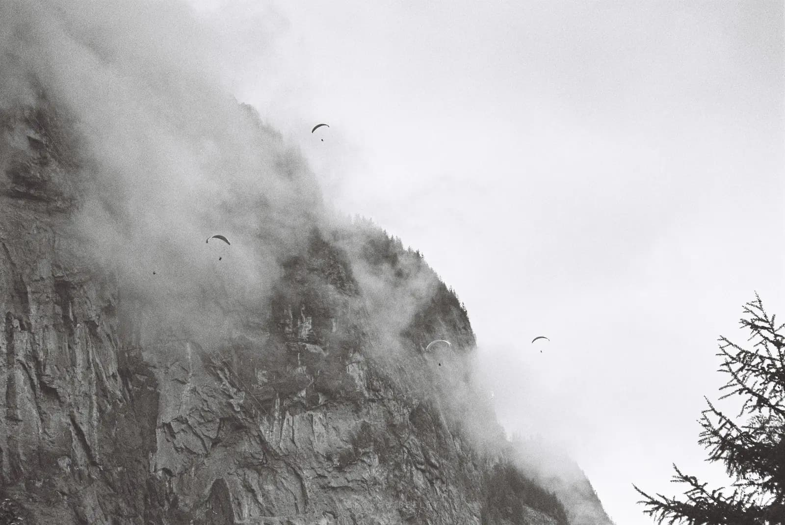 Landscape 76