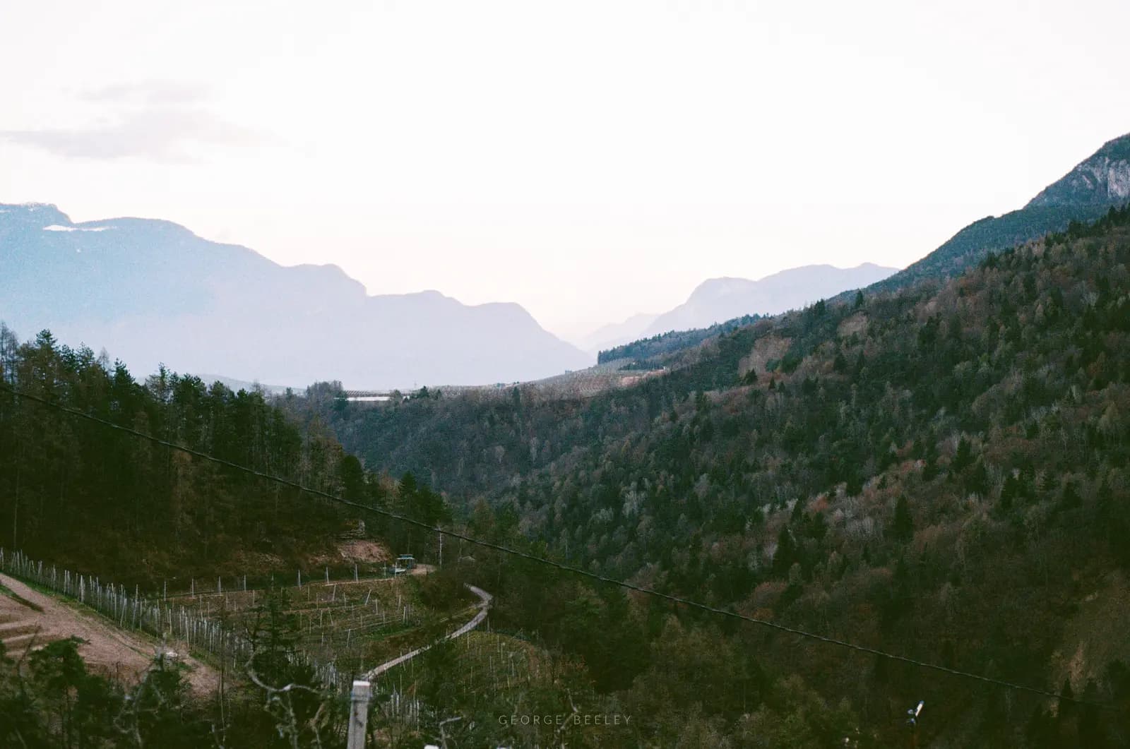 Landscape 40