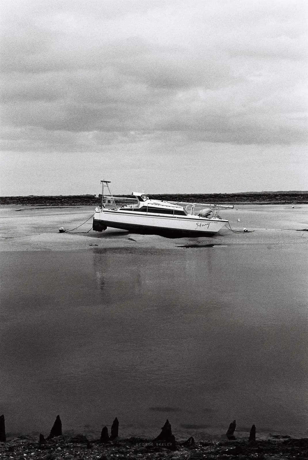 Landscape 35