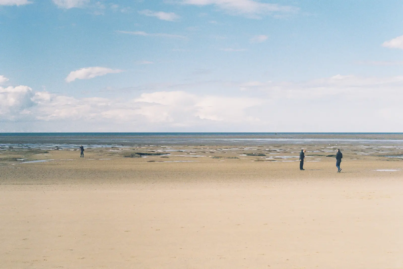 Landscape 59