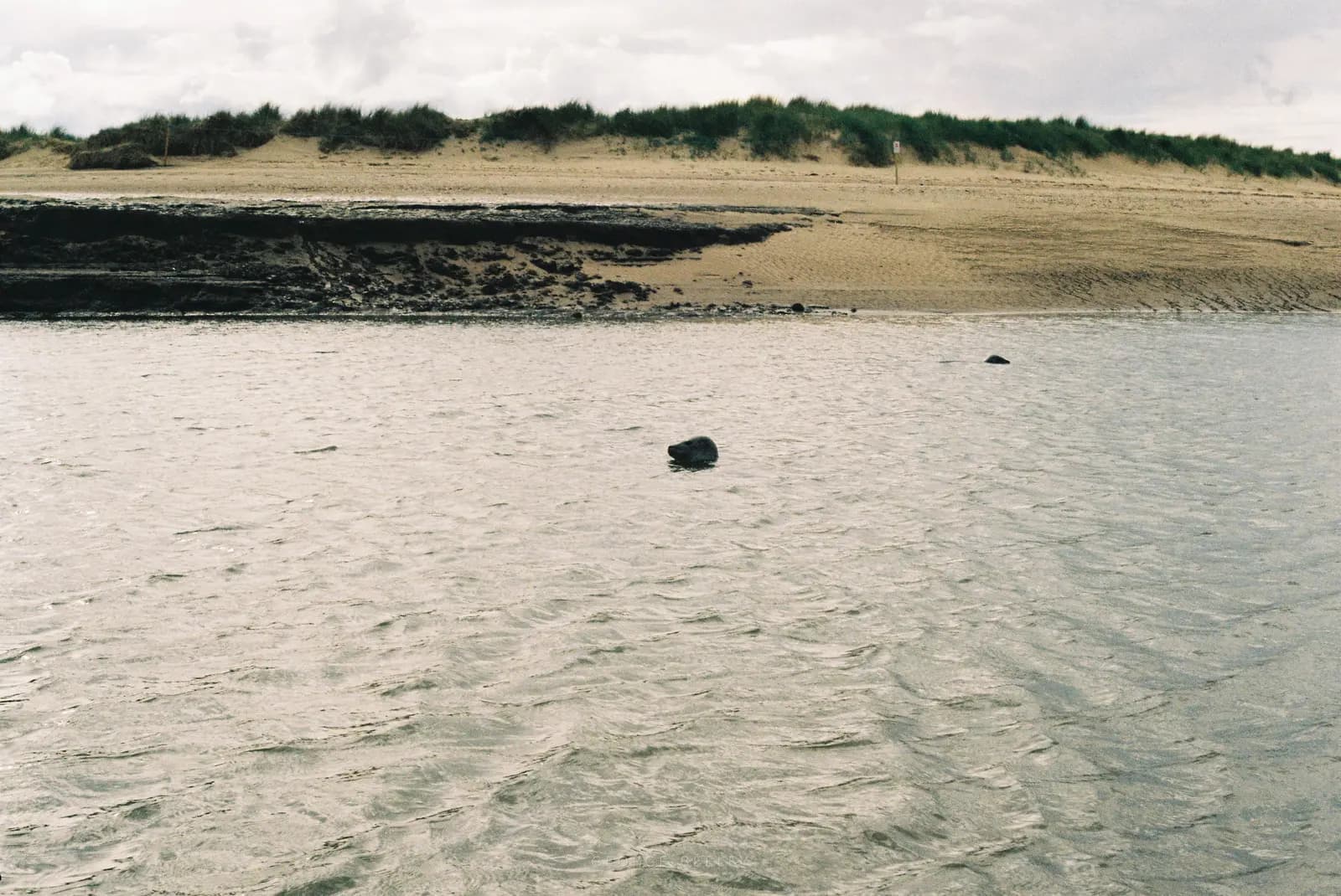 Landscape 70
