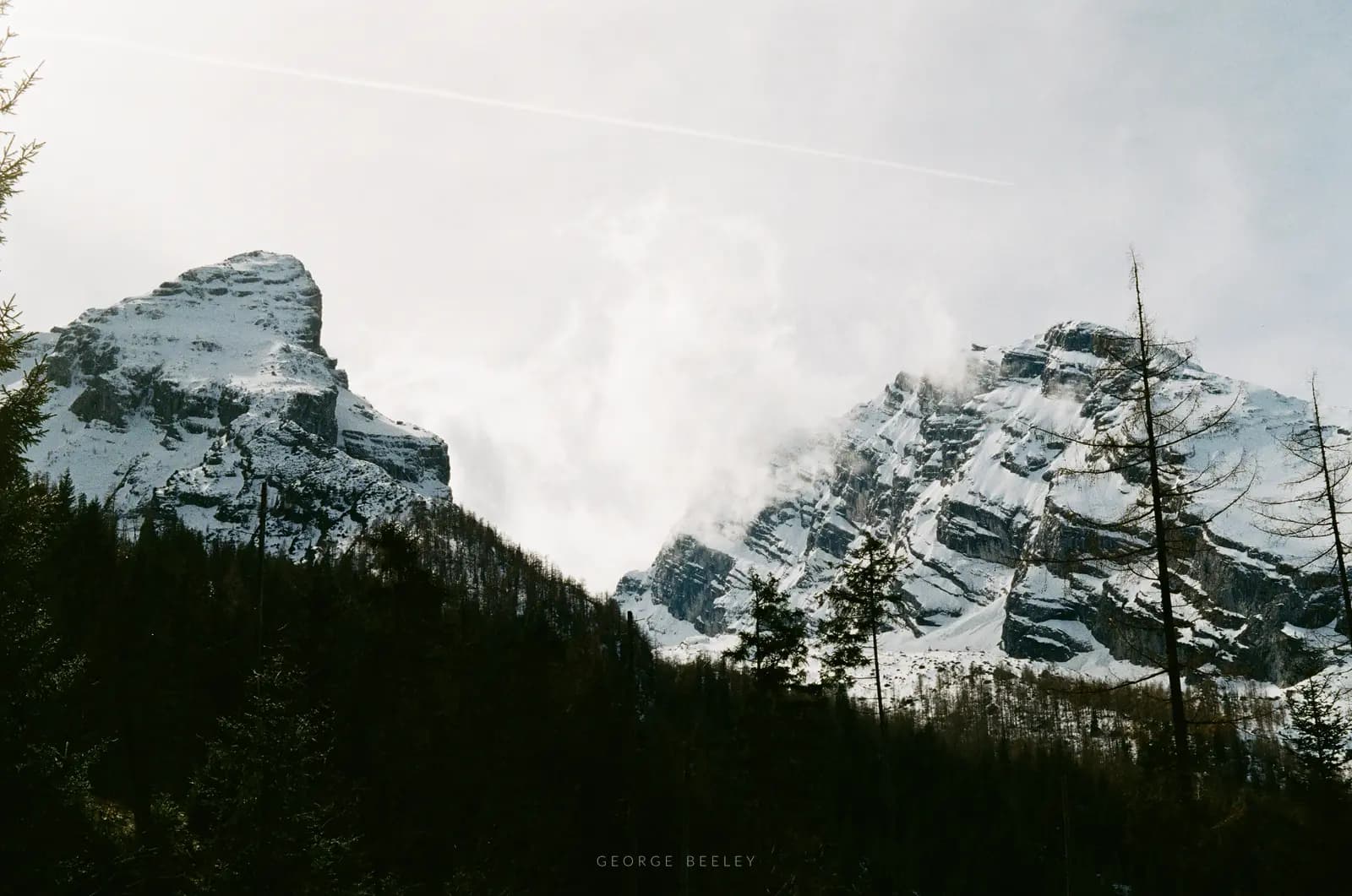 Landscape 24
