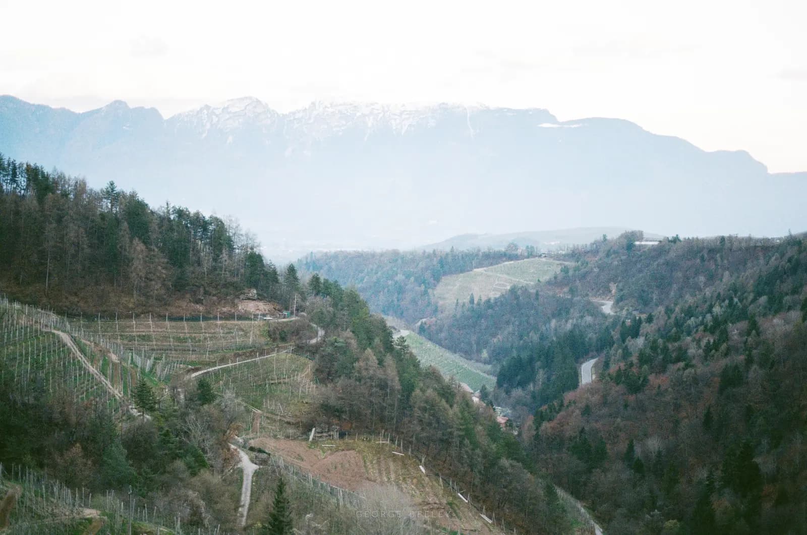 Landscape 39