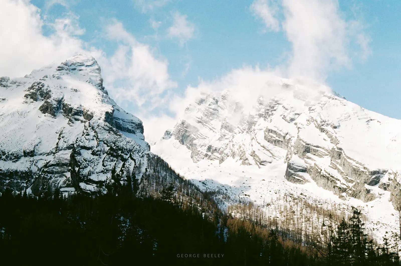 Landscape 20