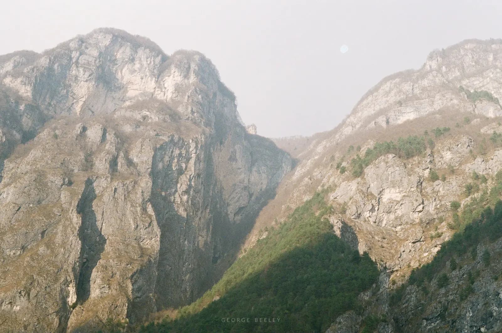 Landscape 37