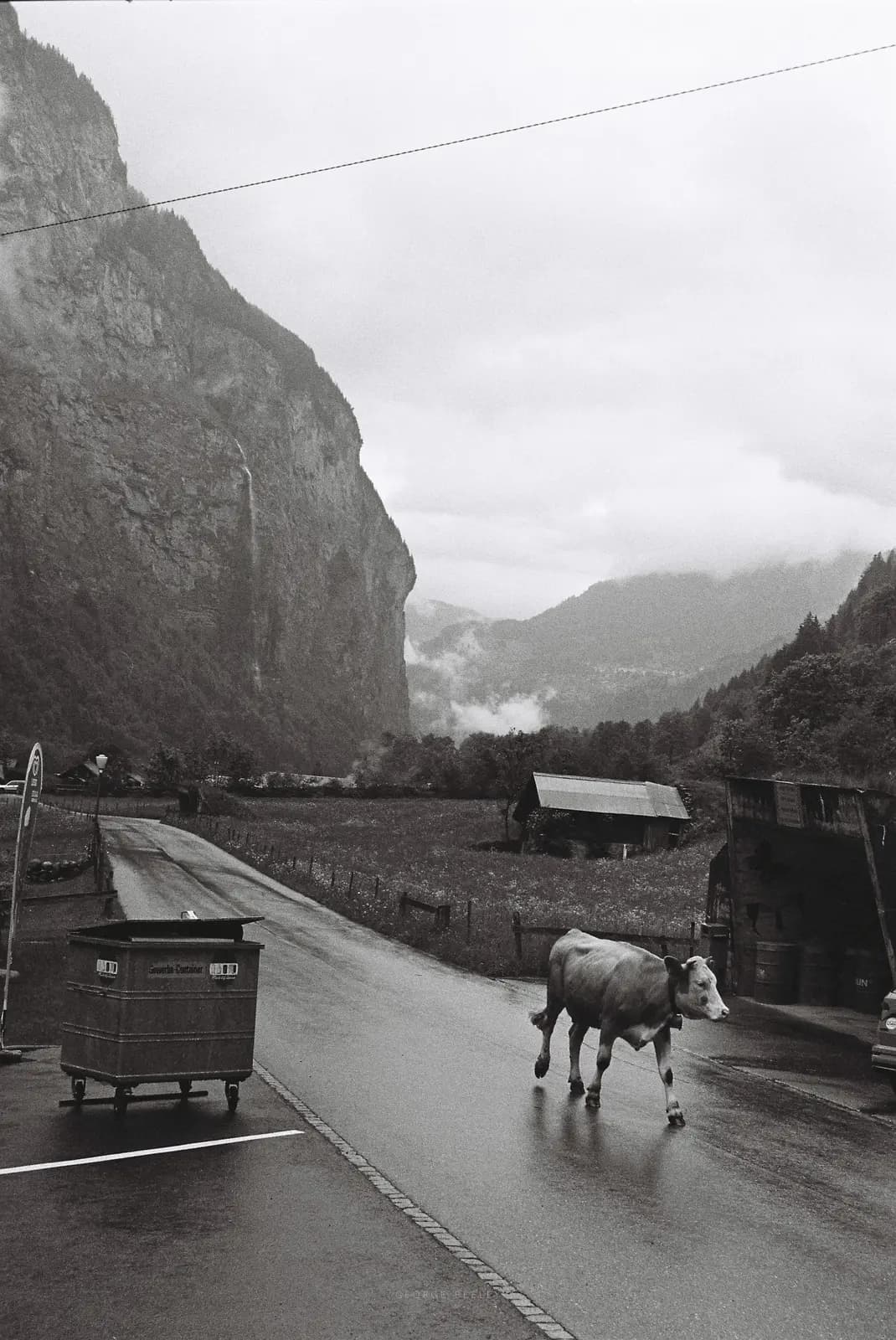 Landscape 75