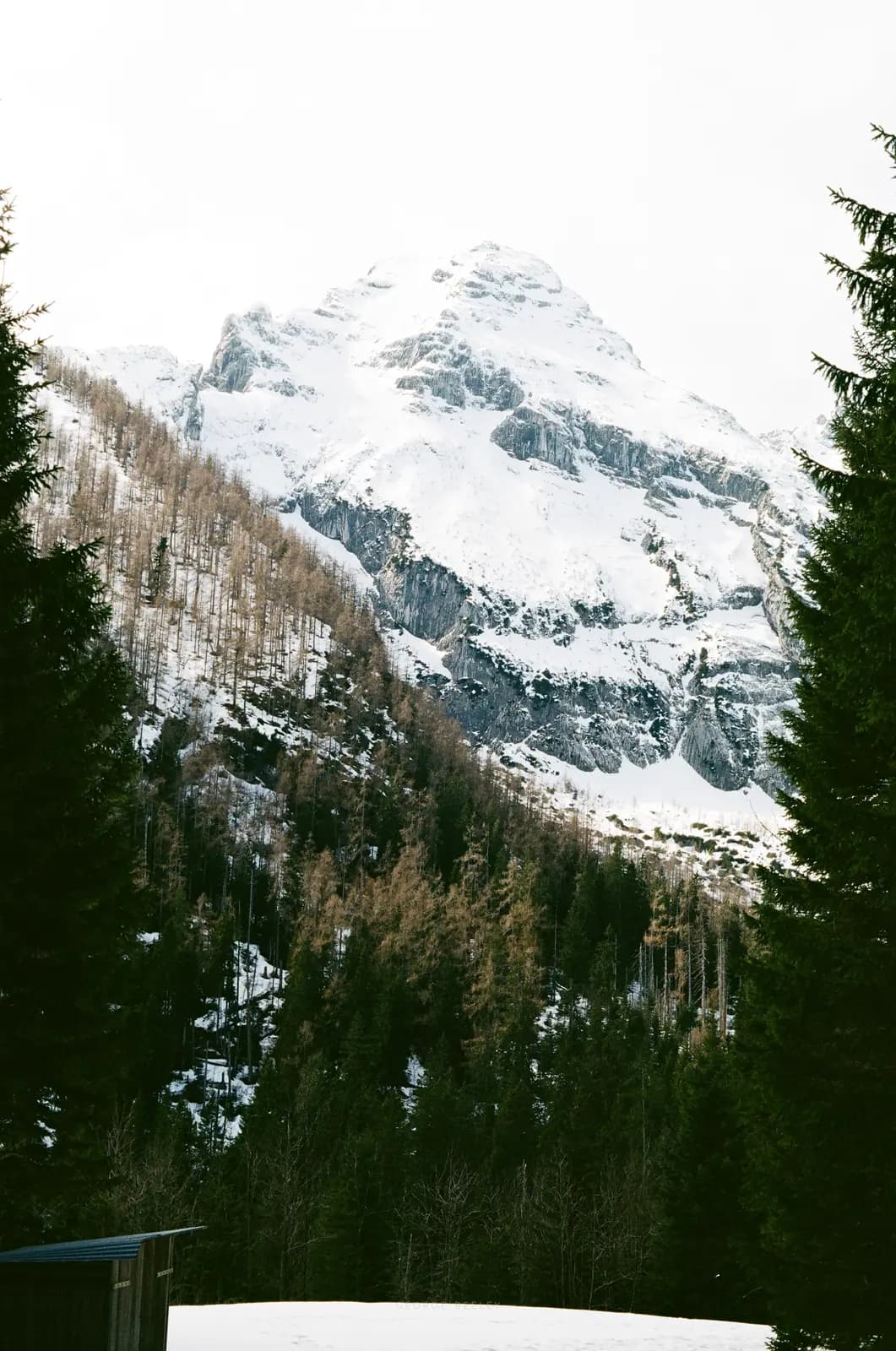 Landscape 22