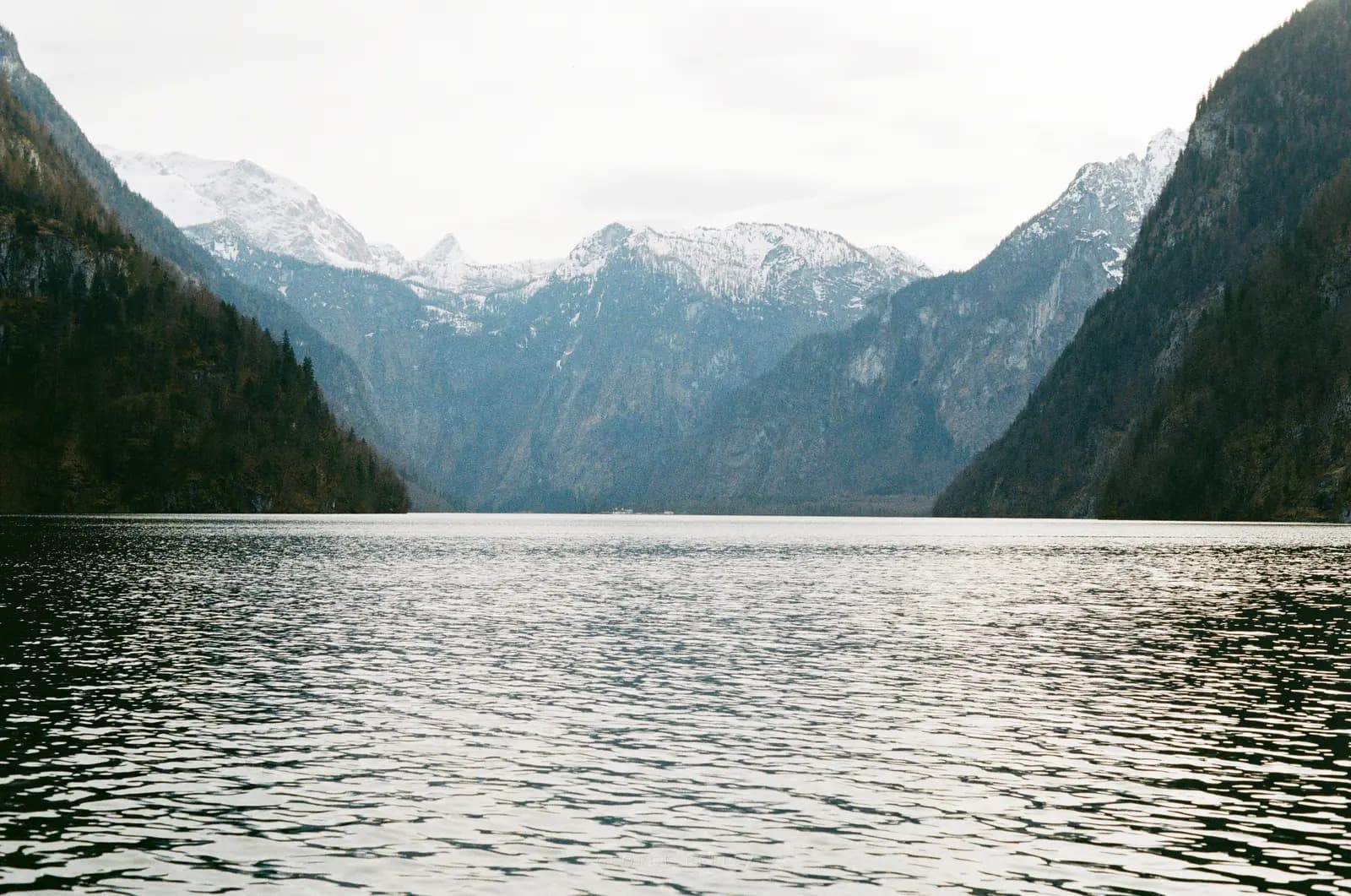 Landscape 25