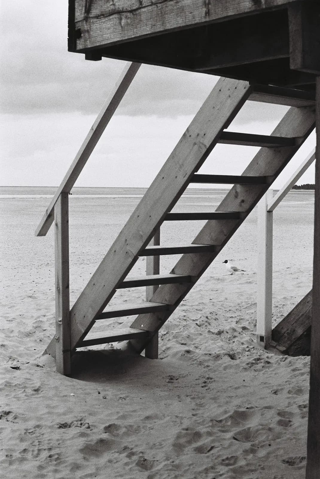 Landscape 58