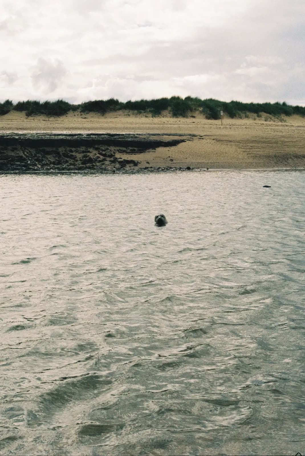 Landscape 71