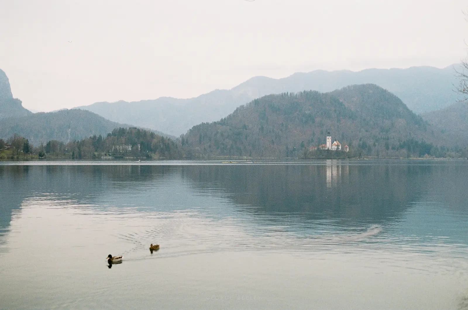 Landscape 28