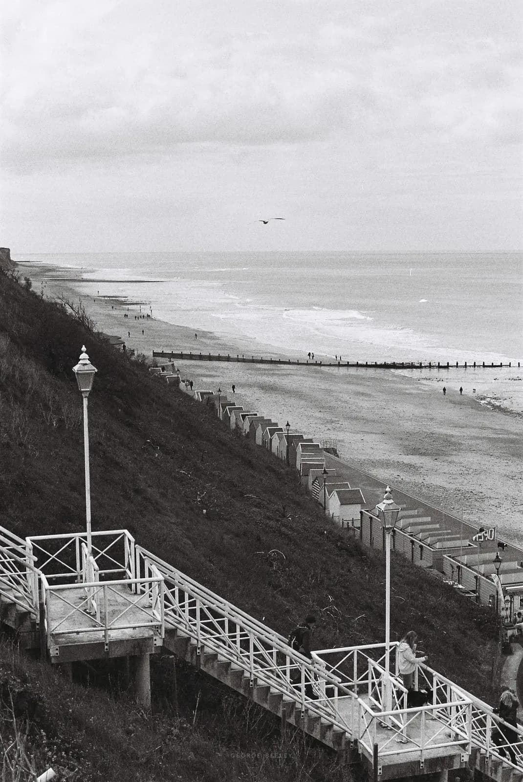 Landscape 52