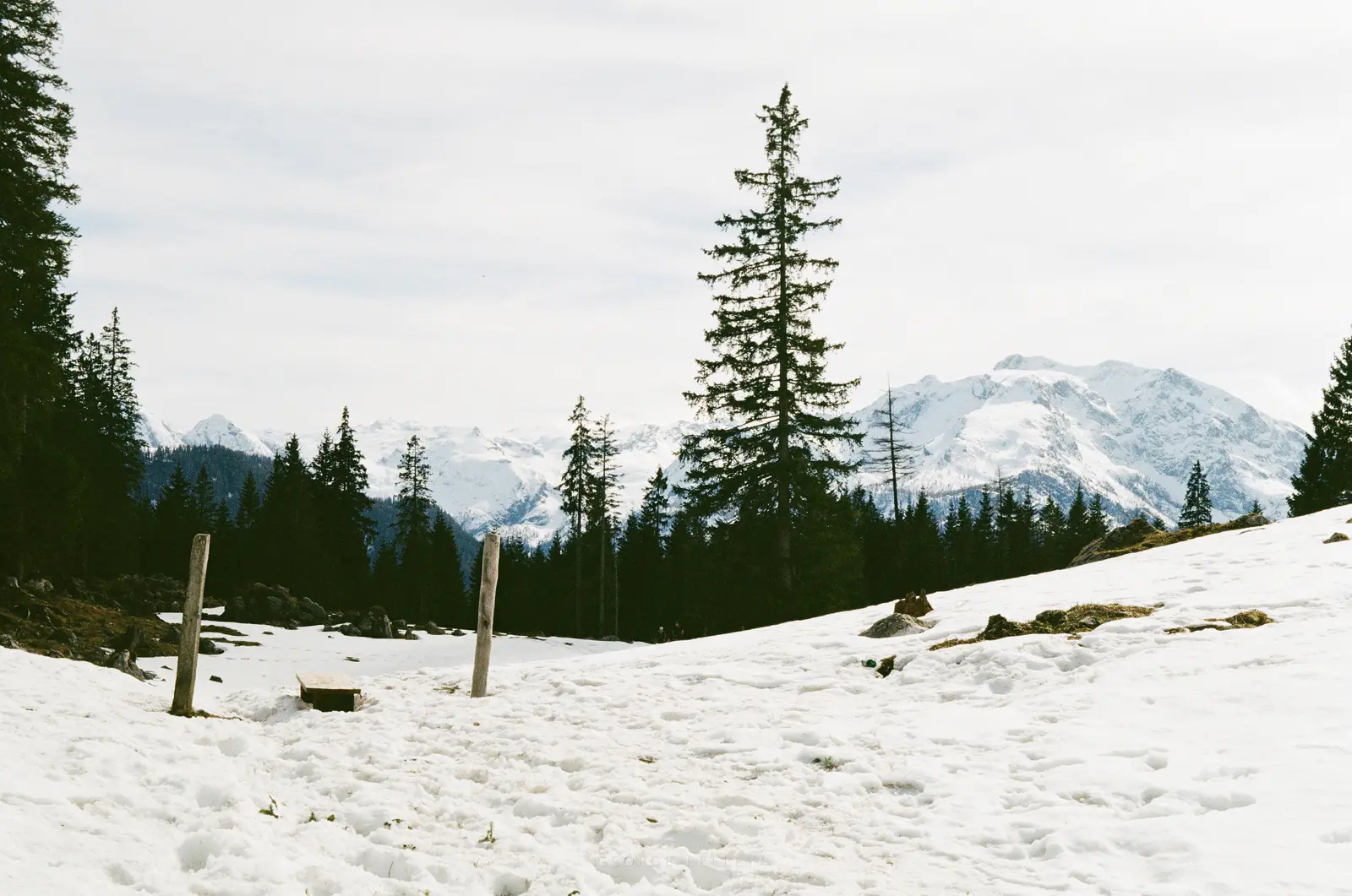 Landscape 23