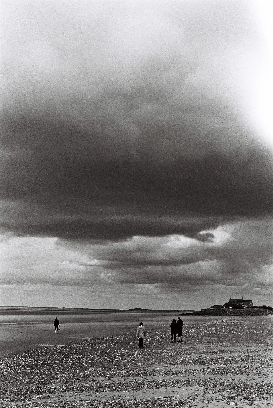 Landscape 72