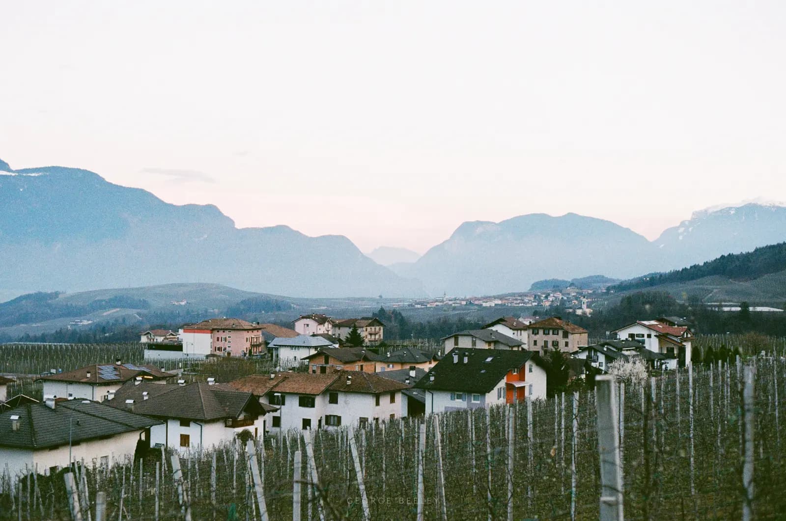Landscape 43