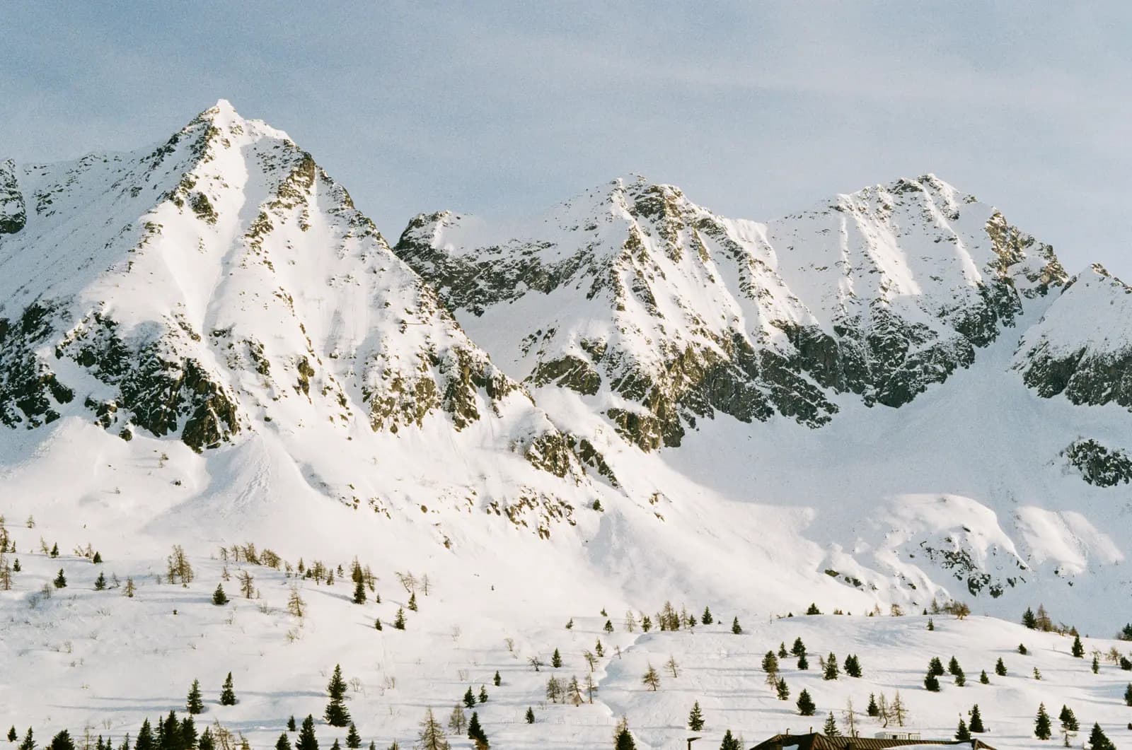 Landscape 44