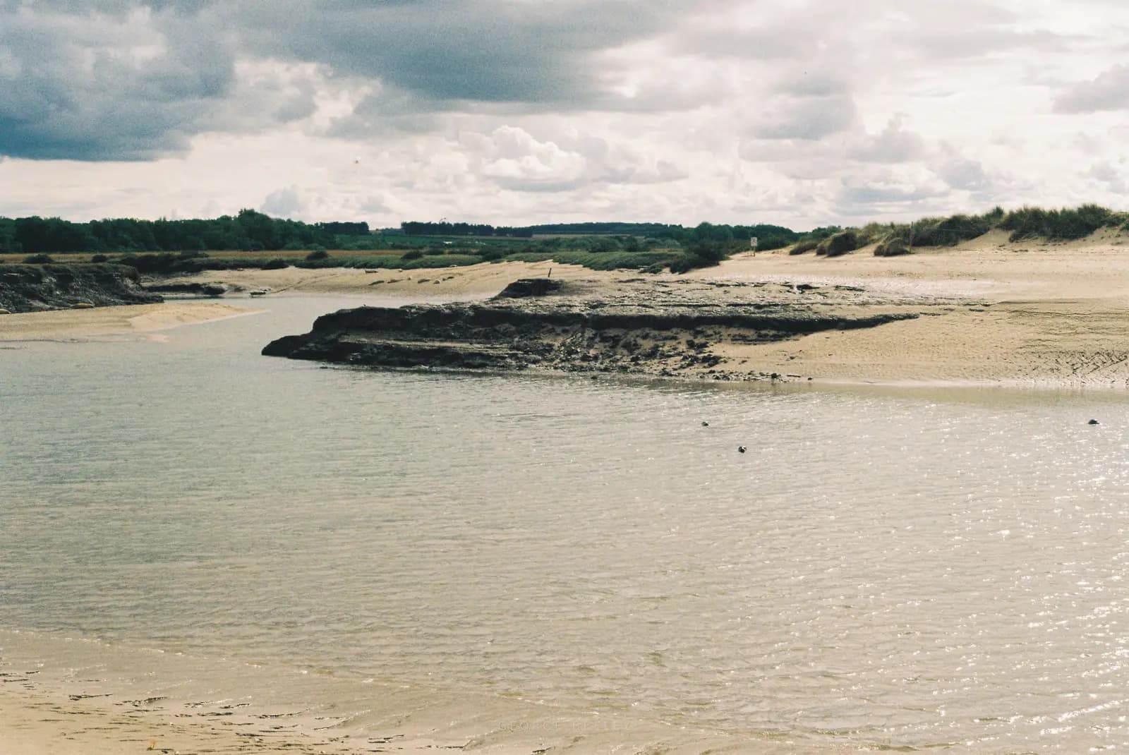 Landscape 66