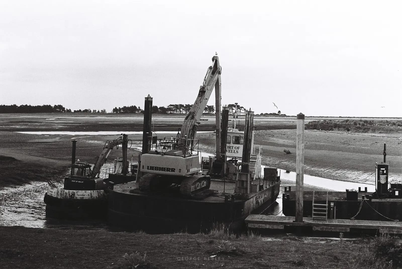 Landscape 33