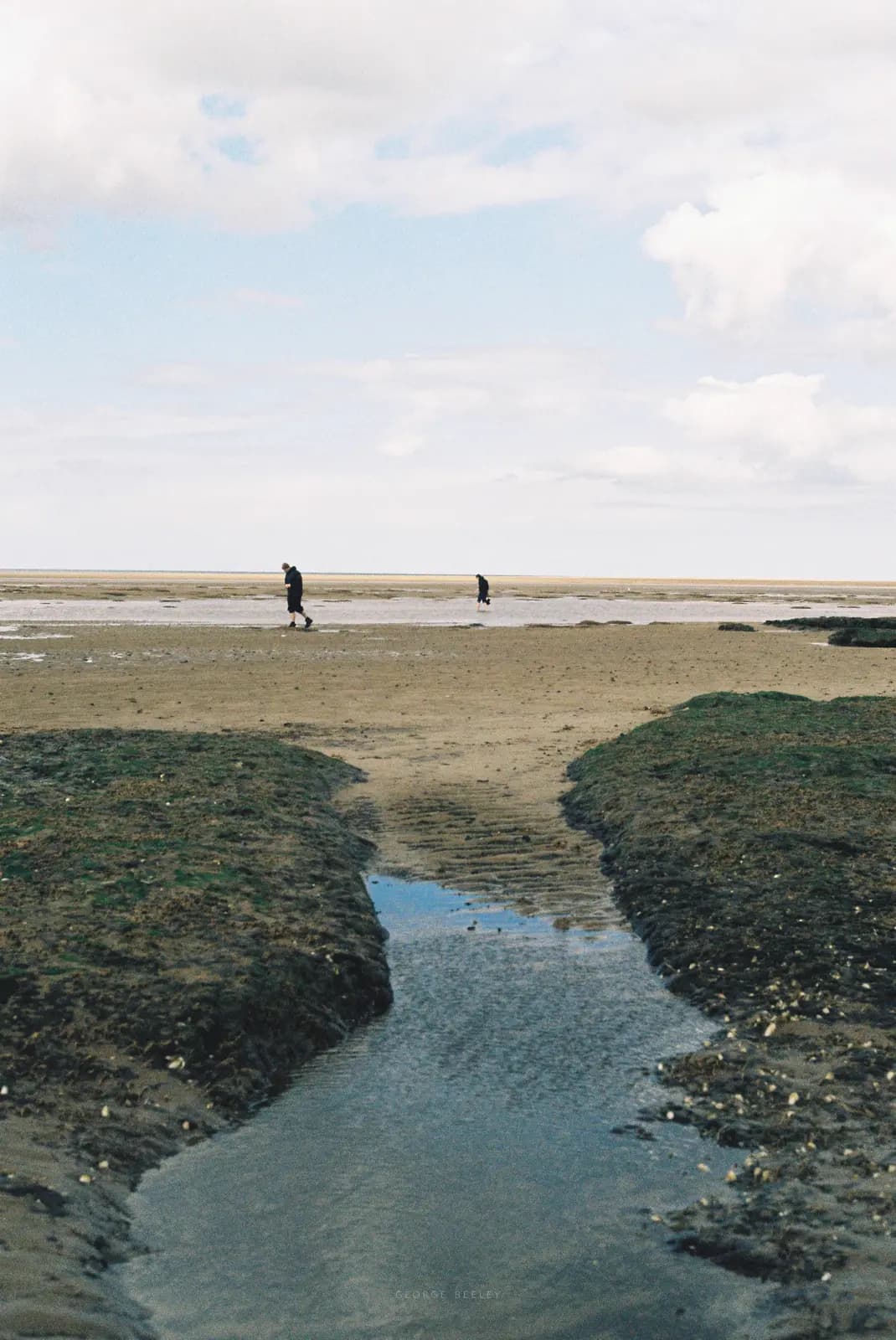 Landscape 64